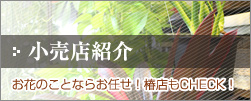小売店紹介
