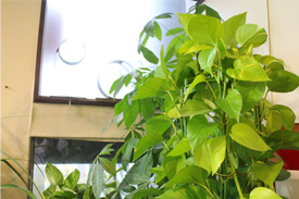 Greetingイメージ